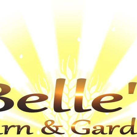 Belle's Barn & Garden